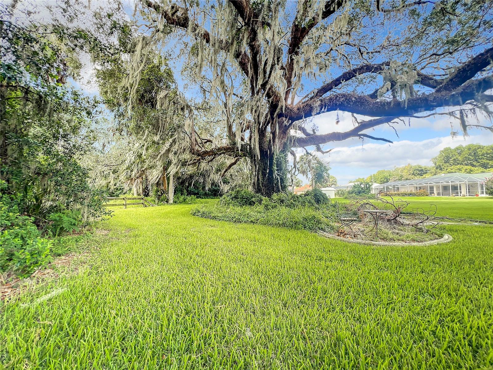 Listing photo id 62 for 1281 Timucuan Trail