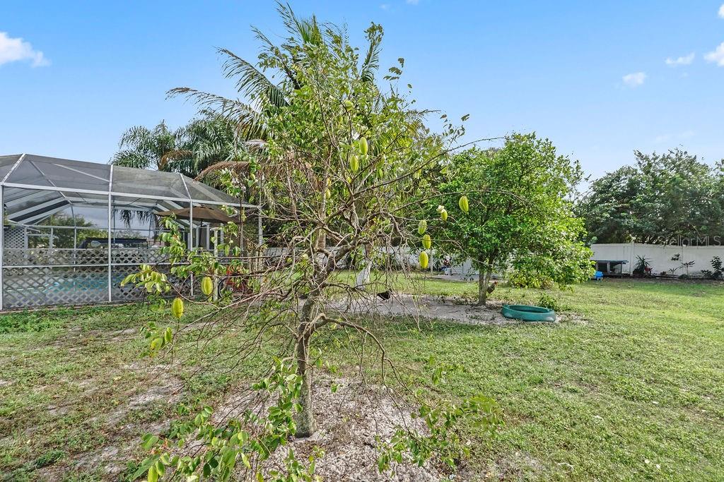 Image 37 of 41 For 918 San Paulo Way