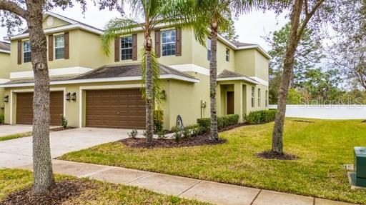 Details for 8609 Fiddleleaf Court, TAMPA, FL 33647