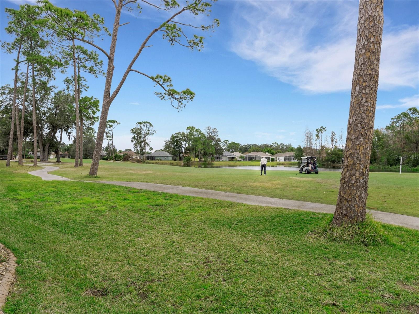 Image 59 of 88 For 296 Del Sol Avenue