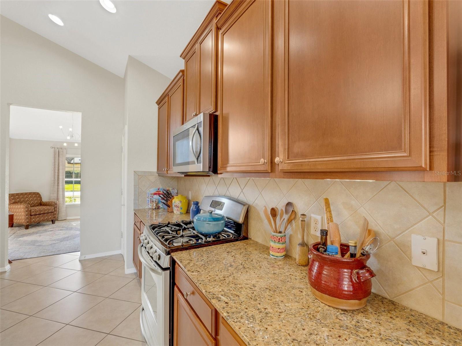 Image 11 of 72 For 336 Del Sol Avenue
