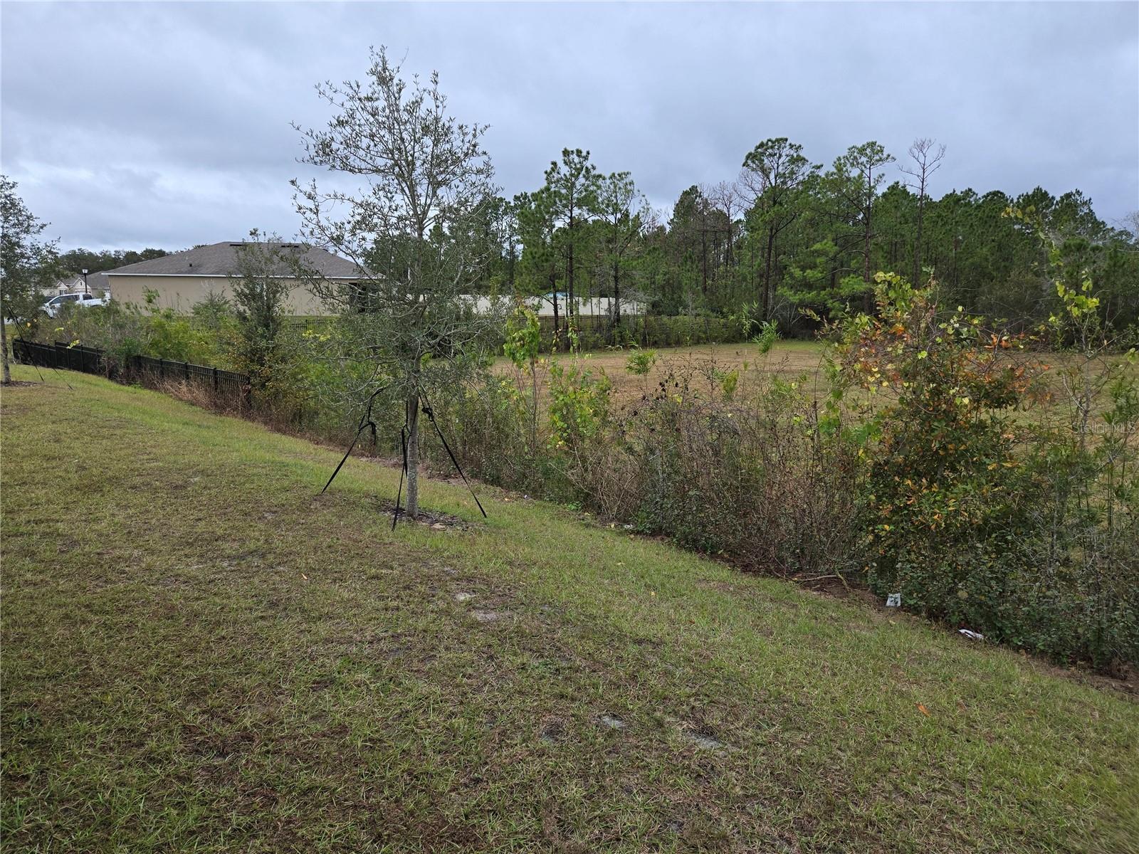 Image 8 of 52 For 1657 Rosydale Circle