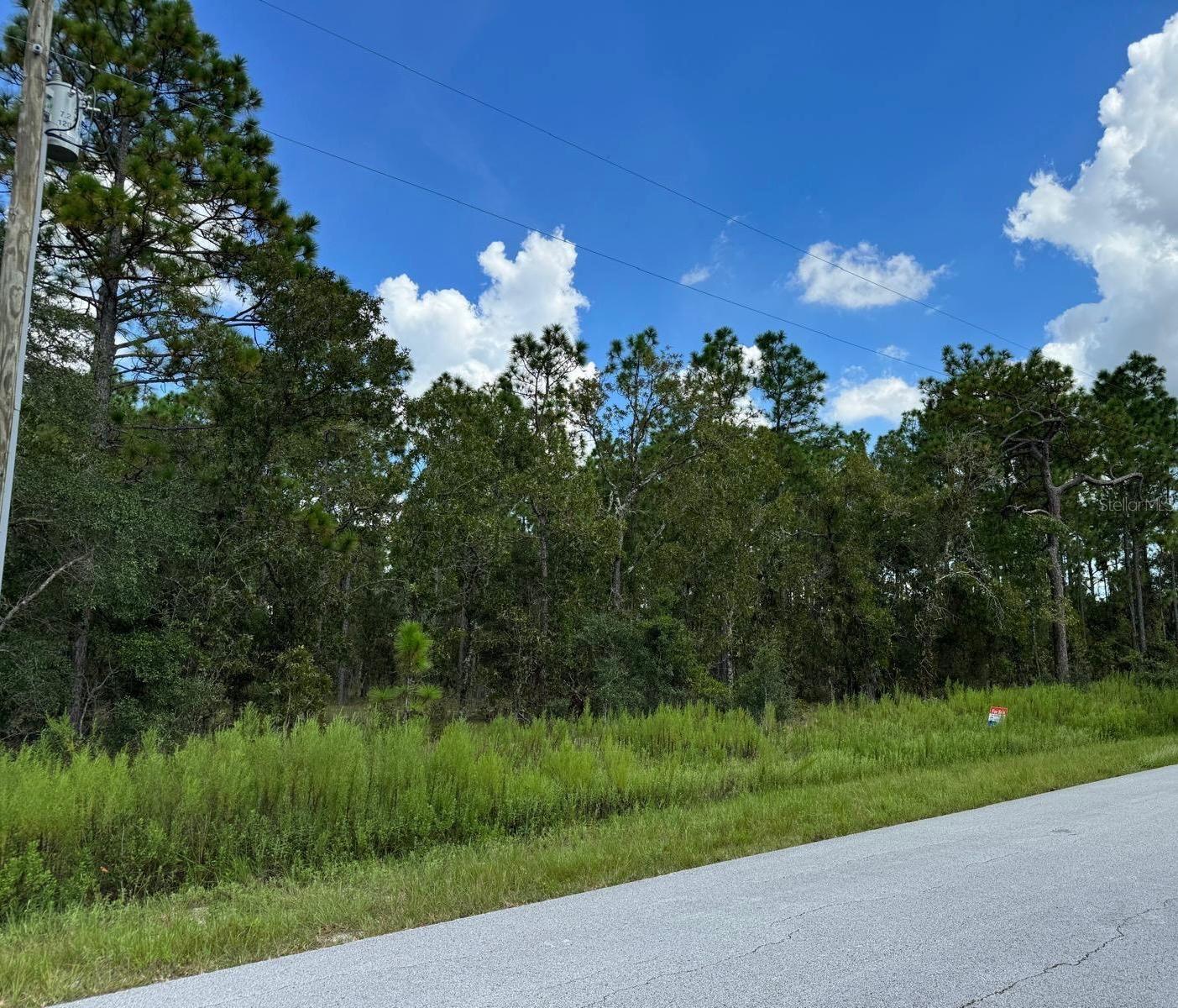 Details for Tbd Lot 39 Vibeurnum Road, DUNNELLON, FL 34431