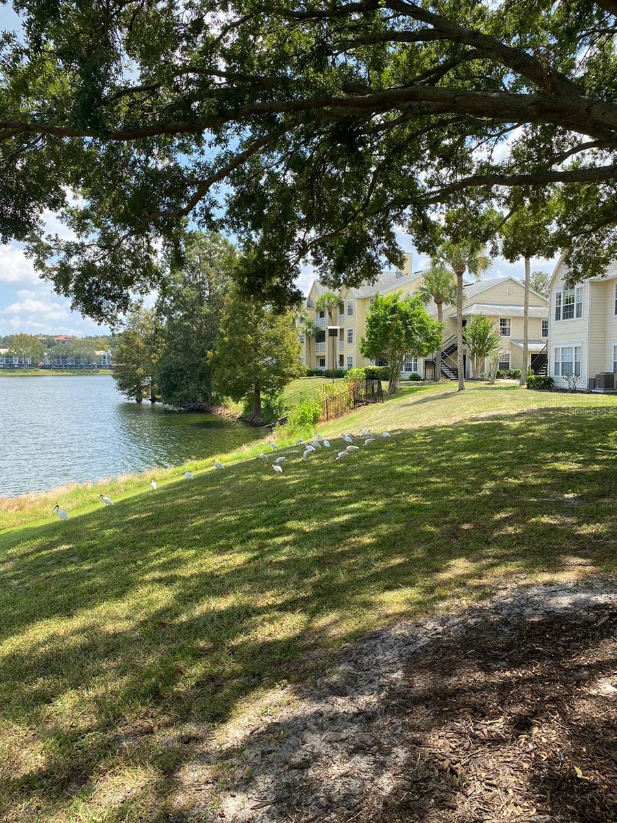 Image 10 of 38 For 1061 Hiawassee Road 1712