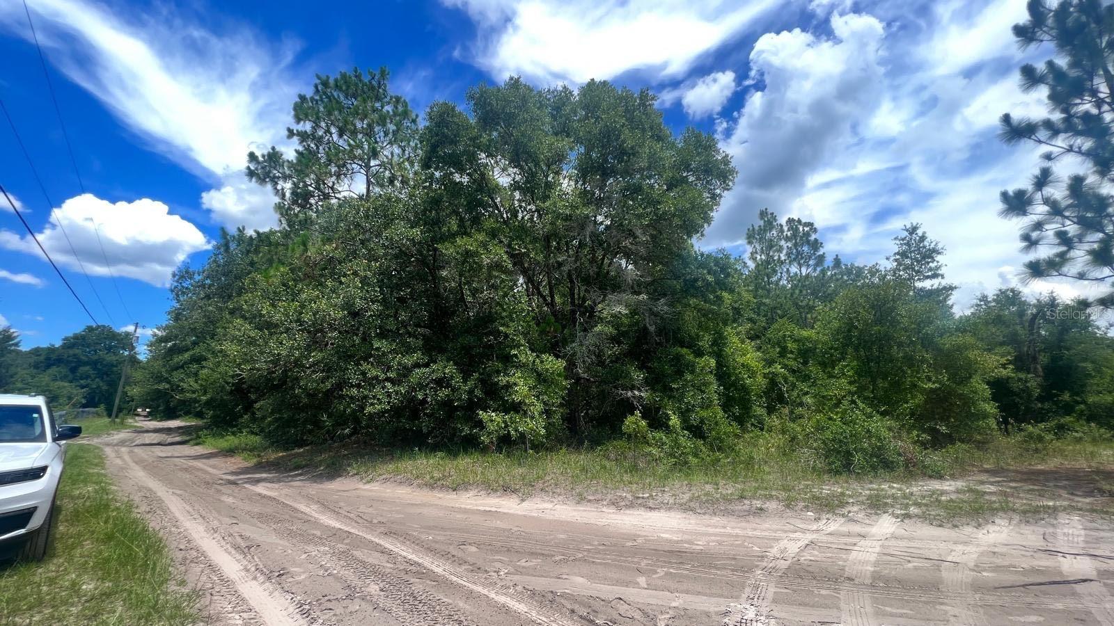 Details for Sw 156th Place, DUNNELLON, FL 34432