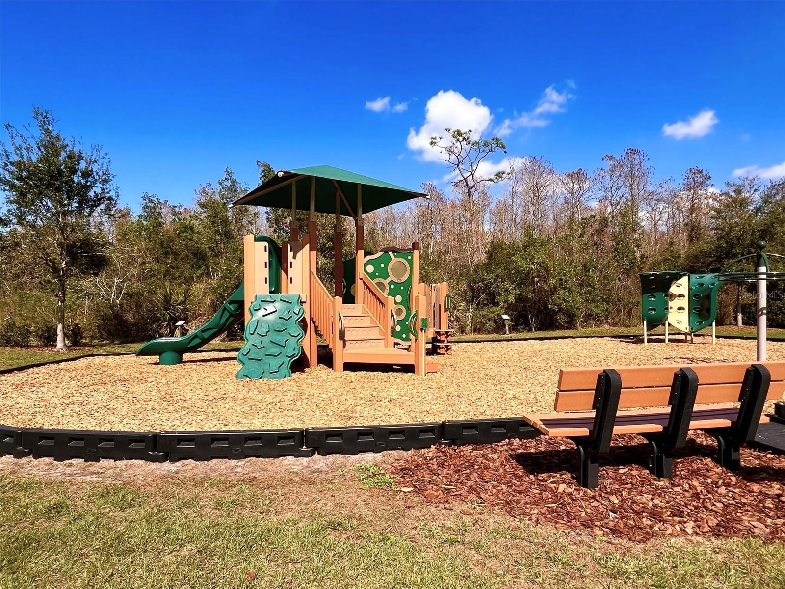 Image 47 of 49 For 2559 Sedge Grass Way