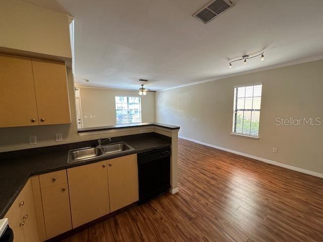 Image 5 of 19 For 727 Siena Palm Drive