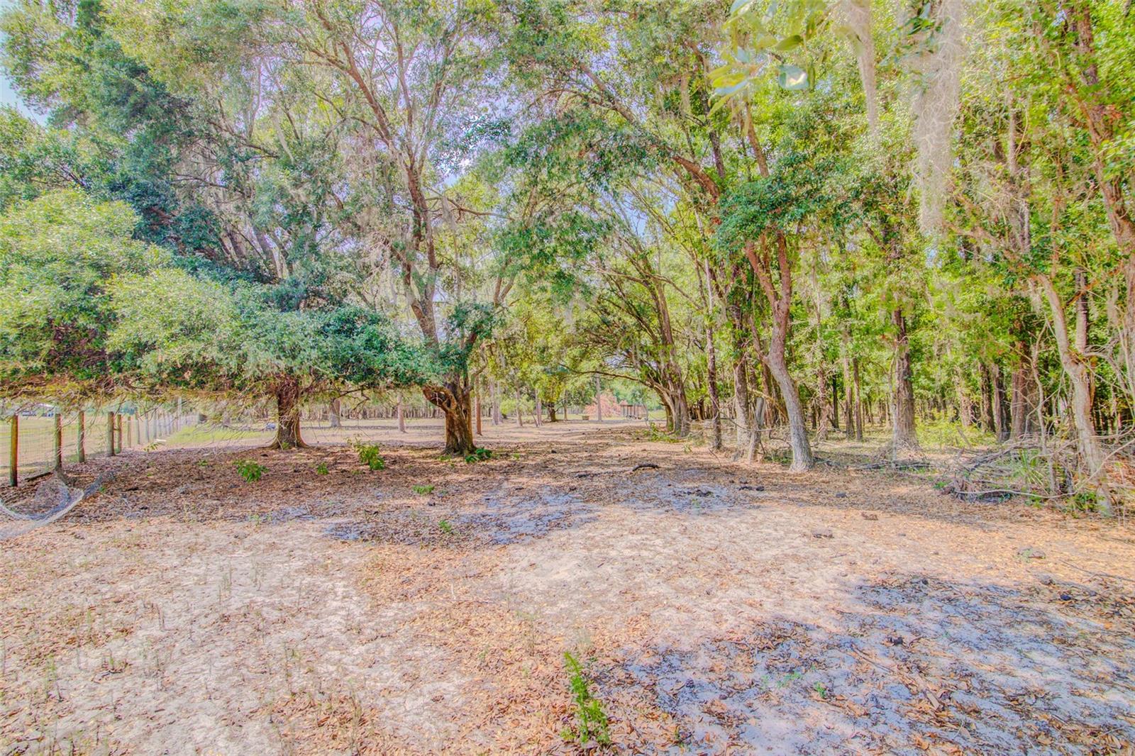 Image 56 of 78 For 15345 Rockridge Road