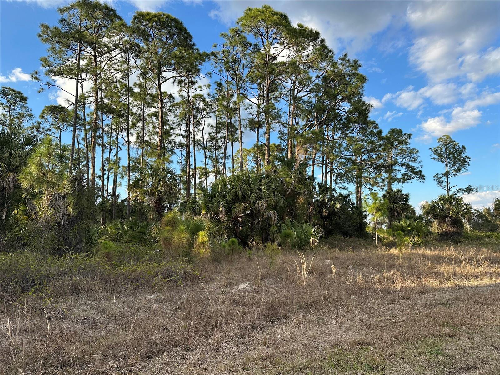 Image 5 of 16 For 4 Lots Mansfield Circle