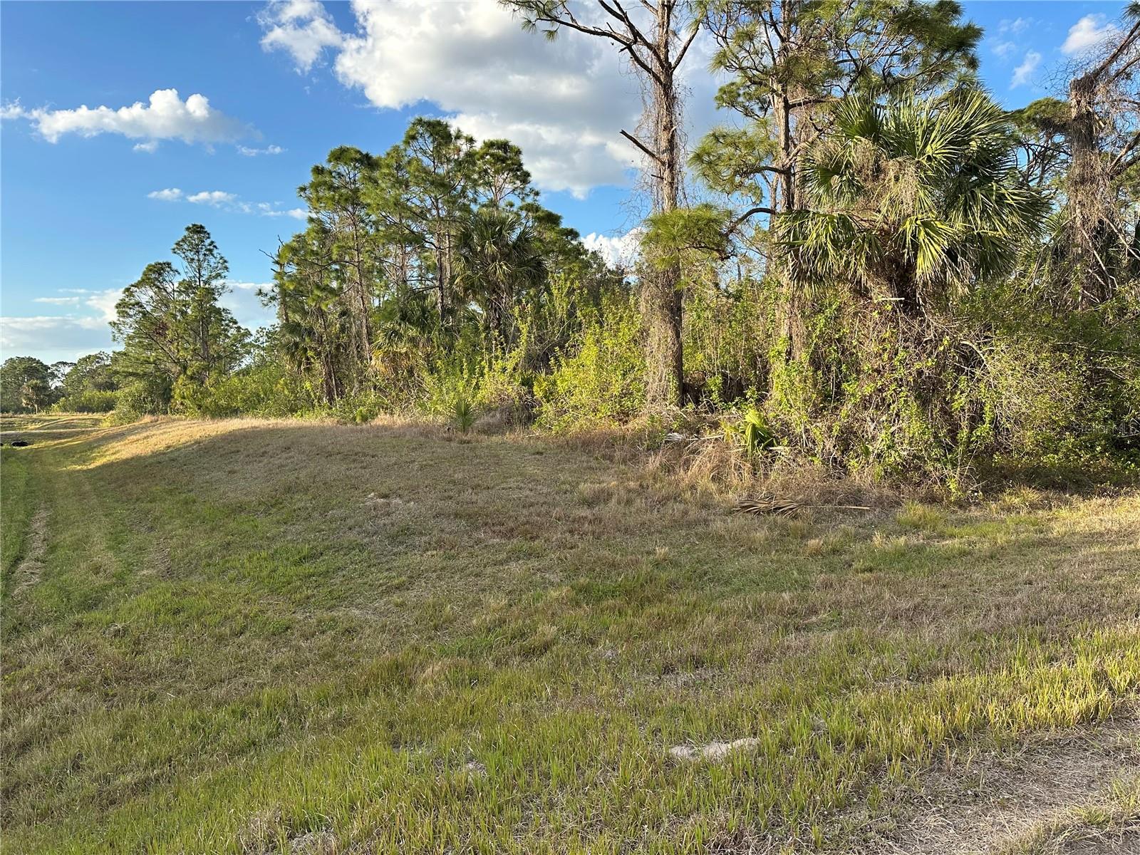 Image 6 of 16 For 4 Lots Mansfield Circle