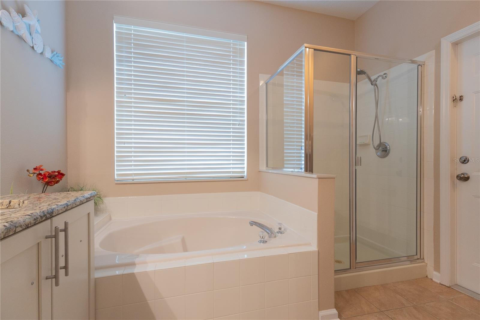 Image 21 of 47 For 8204 Fan Palm Way