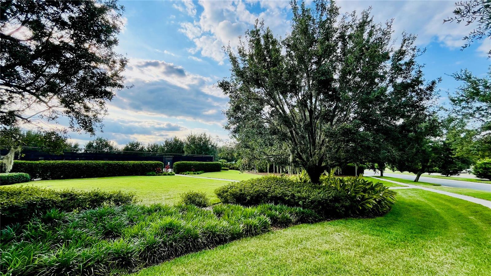 Image 37 of 45 For 15687 Kinnow Mandarin Lane