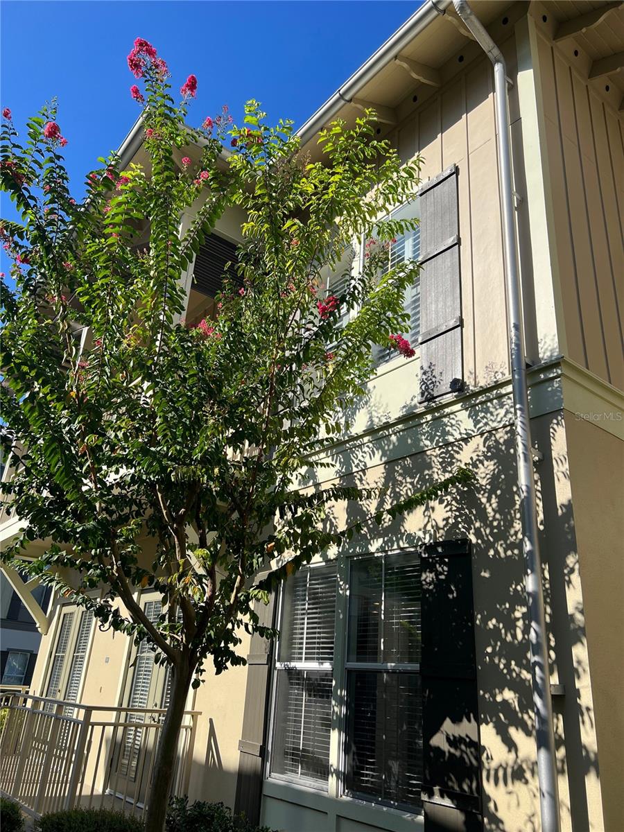 Image 19 of 23 For 600 Edwards Street 7101