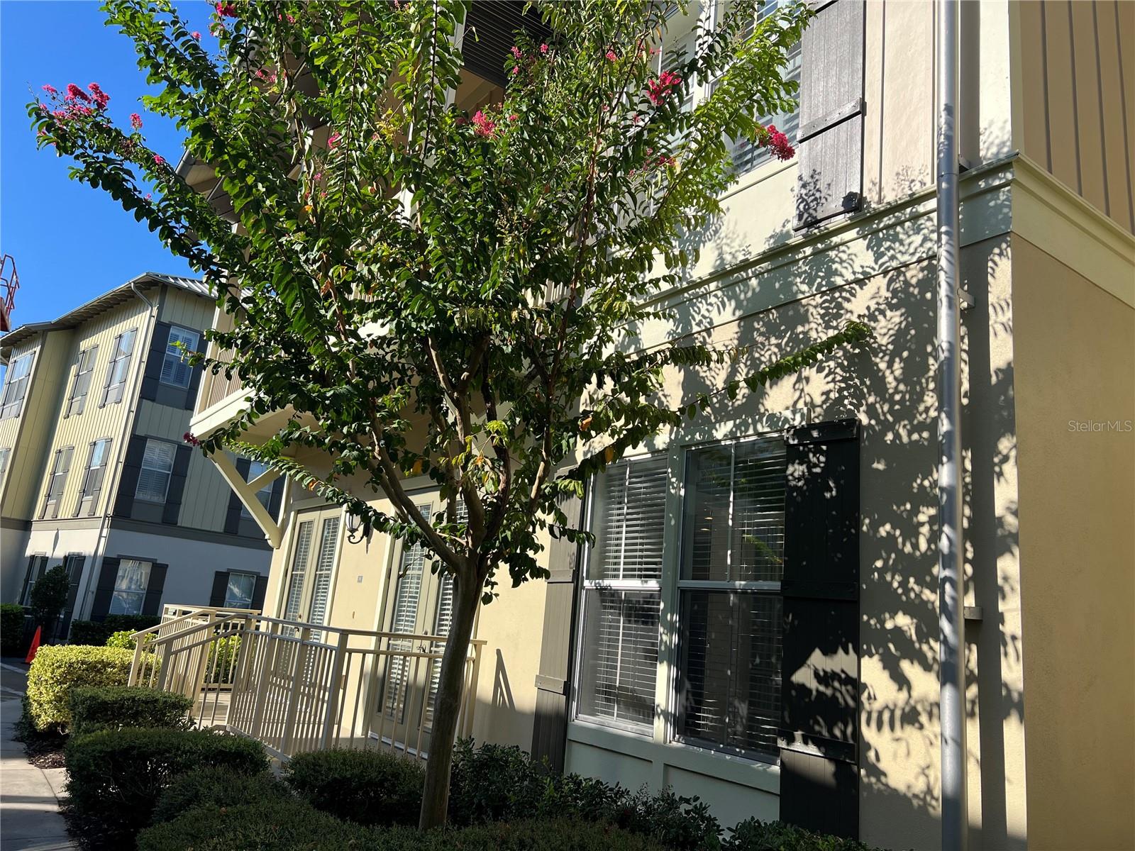 Image 2 of 23 For 600 Edwards Street 7101