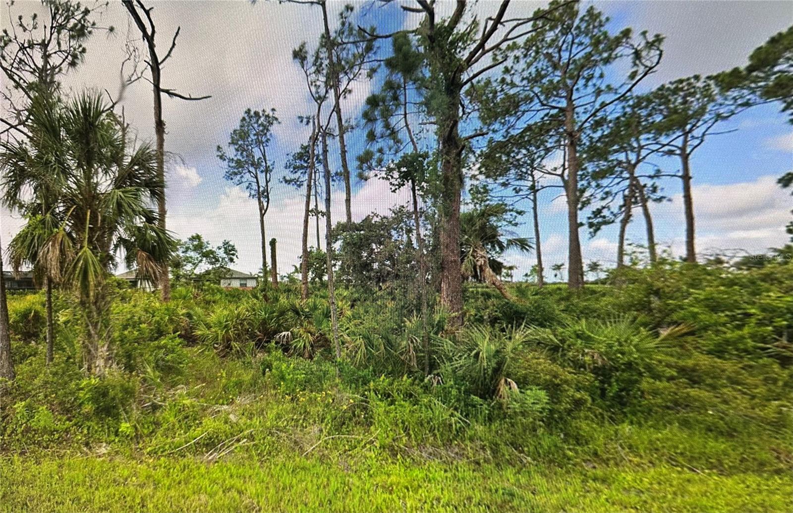 Details for 15461 Wyandotte Avenue, PORT CHARLOTTE, FL 33953