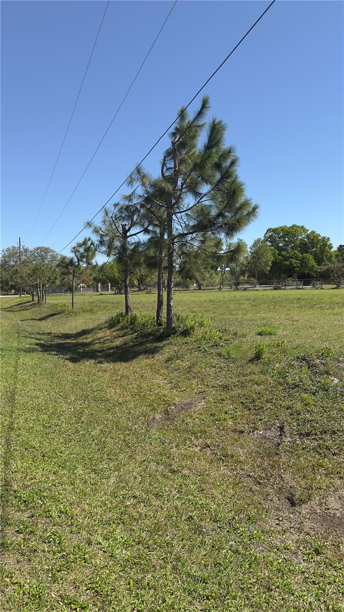 Image 10 of 29 For 00 Haywood Ruffin