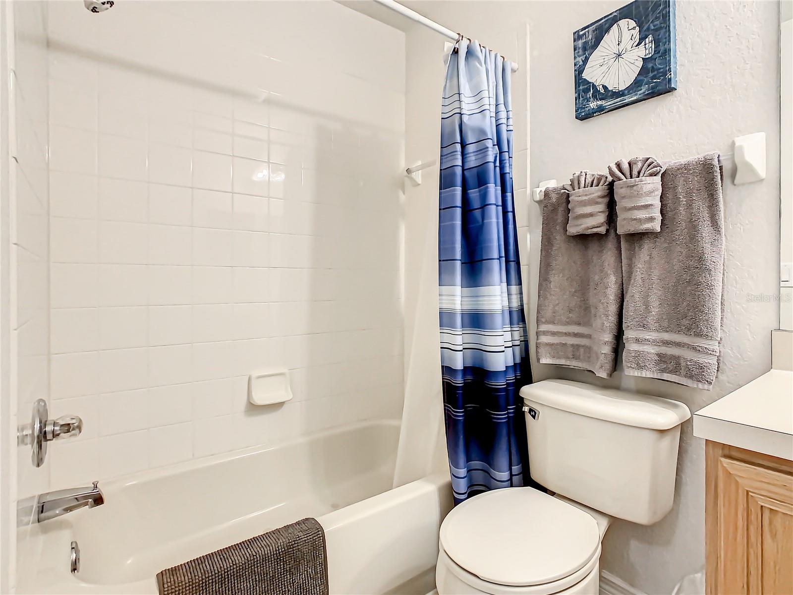 Image 30 of 66 For 347 Cambria Avenue