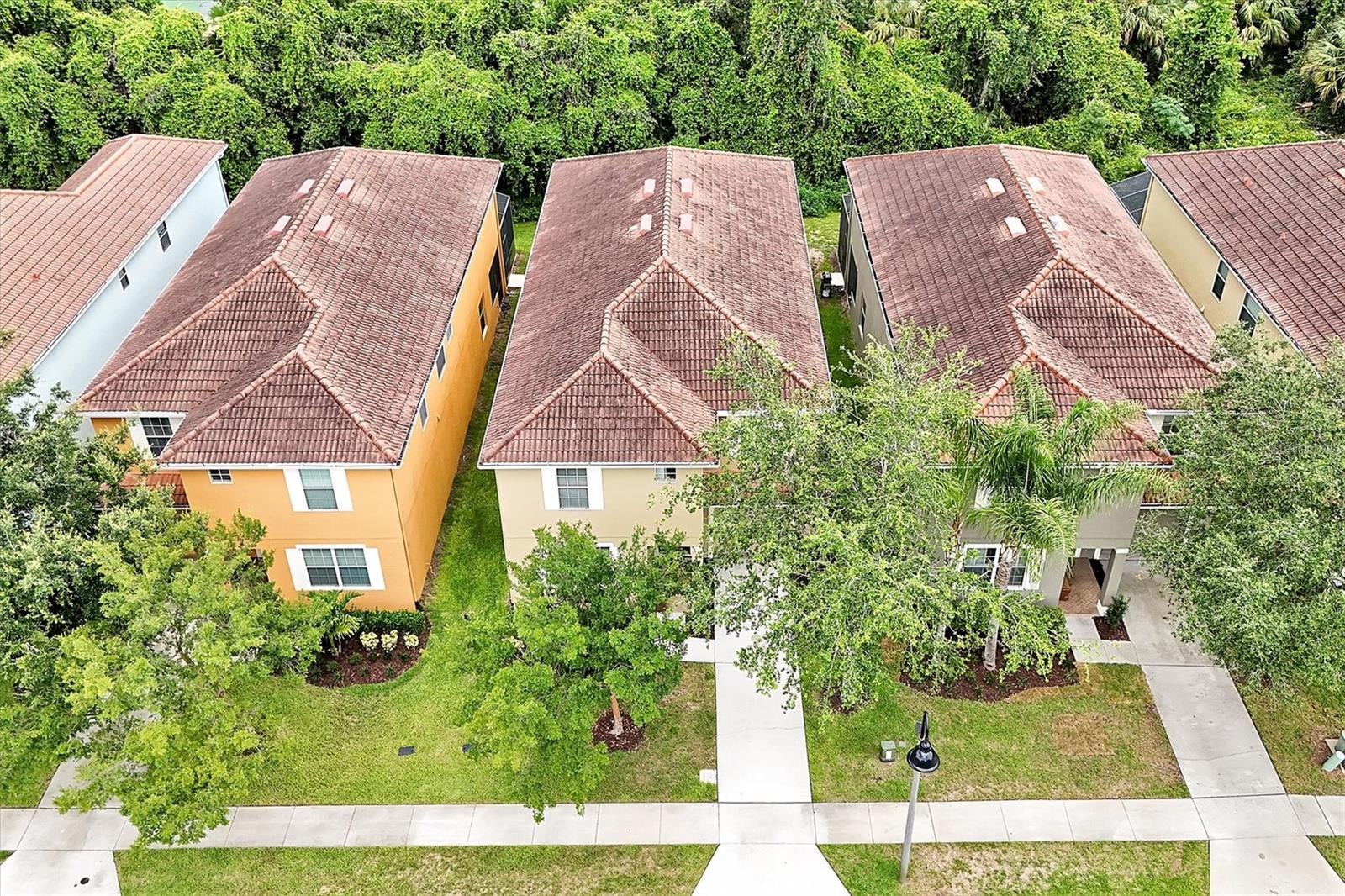 Image 49 of 62 For 8904 Candy Palm Road