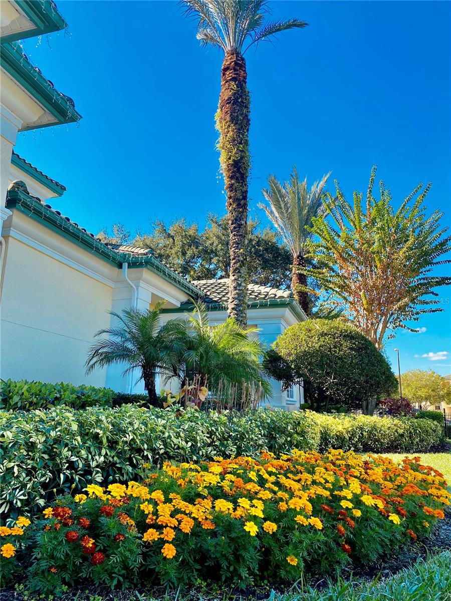 Image 23 of 47 For 8907 Legacy Court 14 205