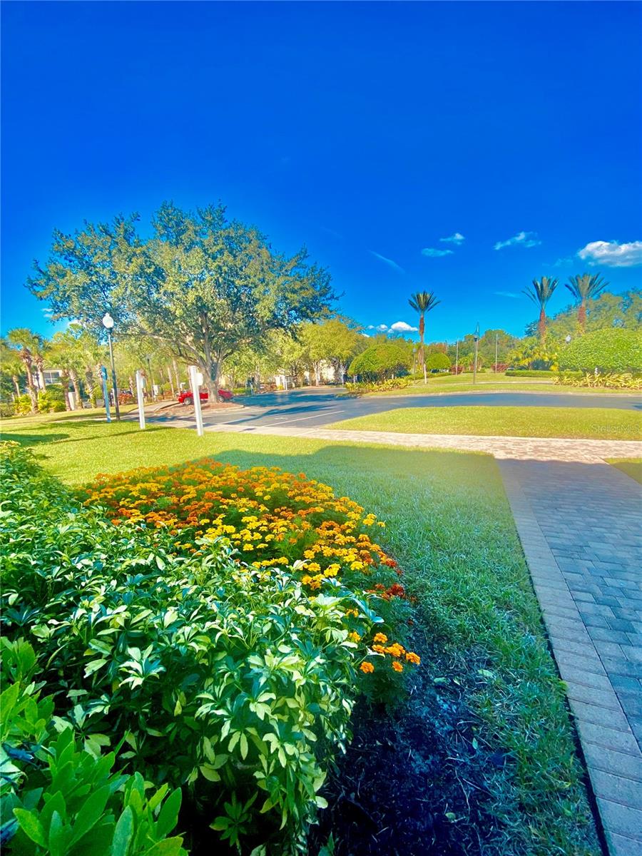 Image 25 of 47 For 8907 Legacy Court 14 205