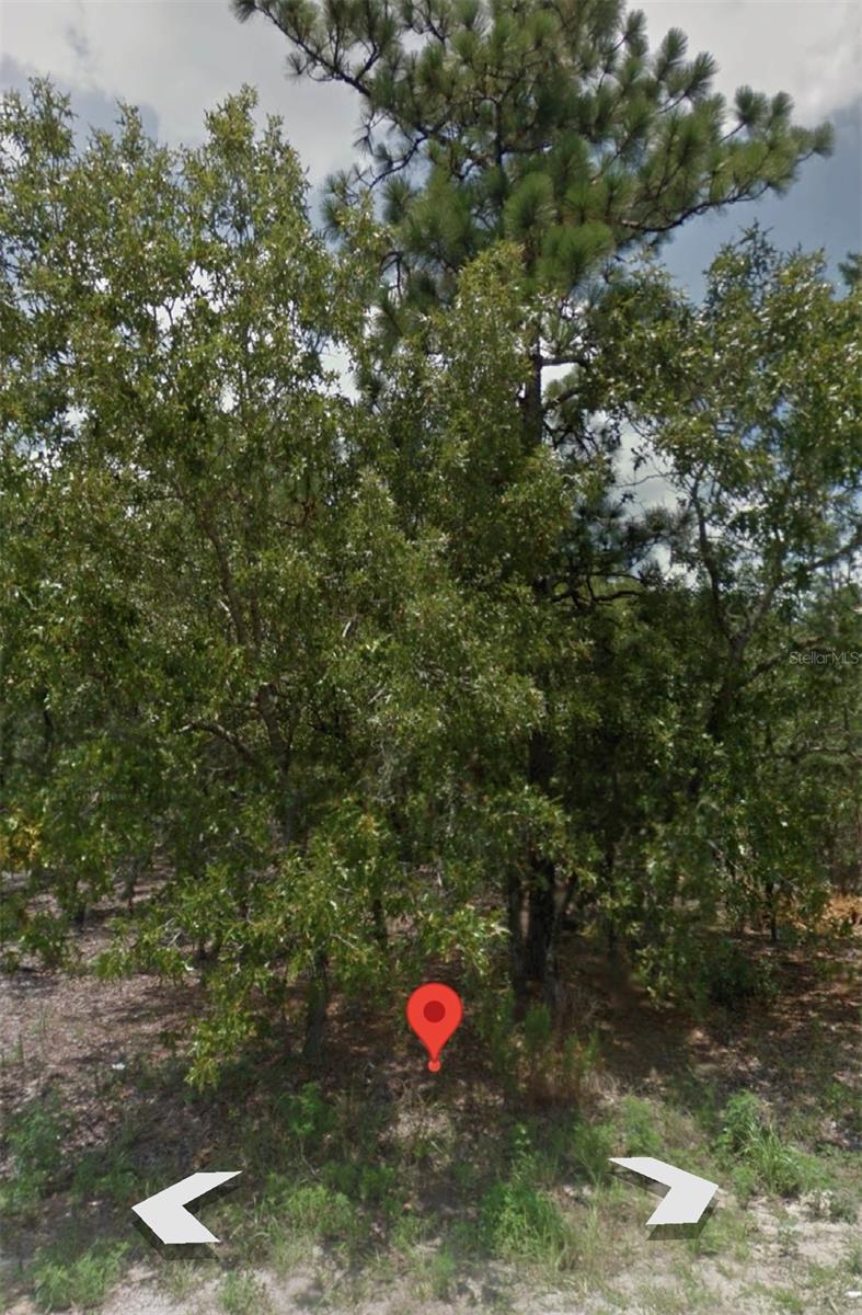 Listing Details for 12 Spring Place, OCALA, FL 34472