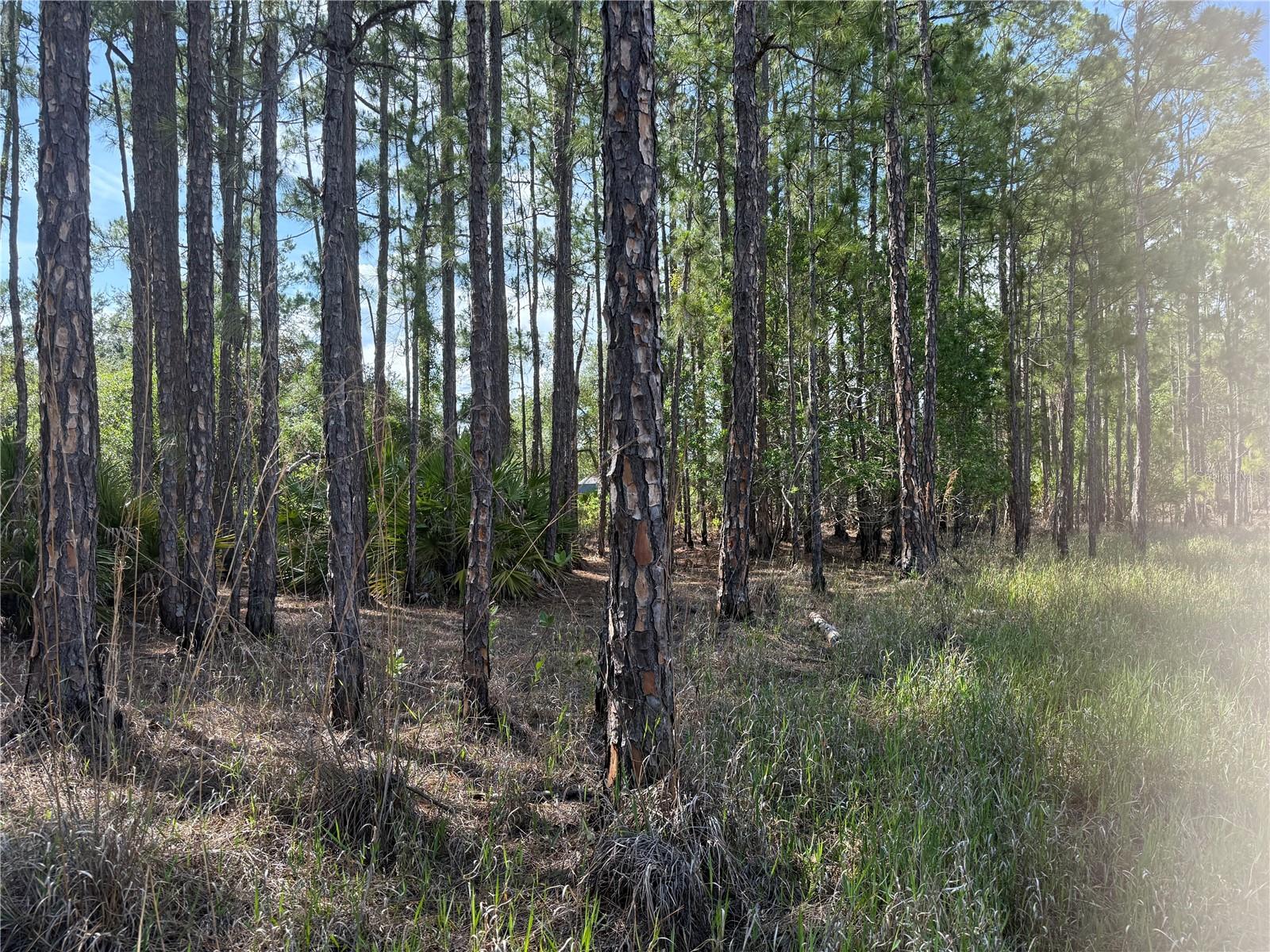 Image 11 of 19 For Aspen Street