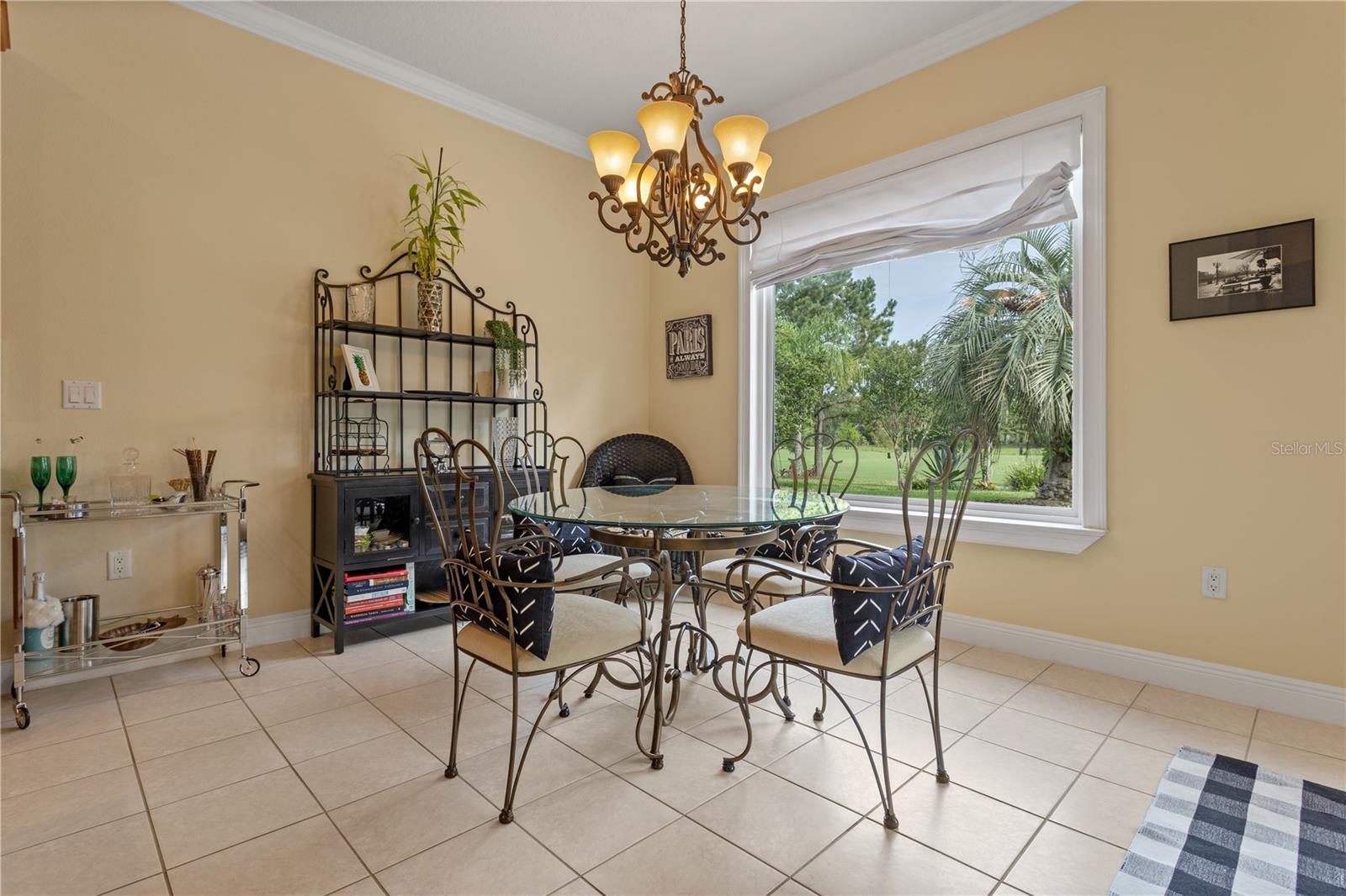 Listing photo id 15 for 133 Torino Lane