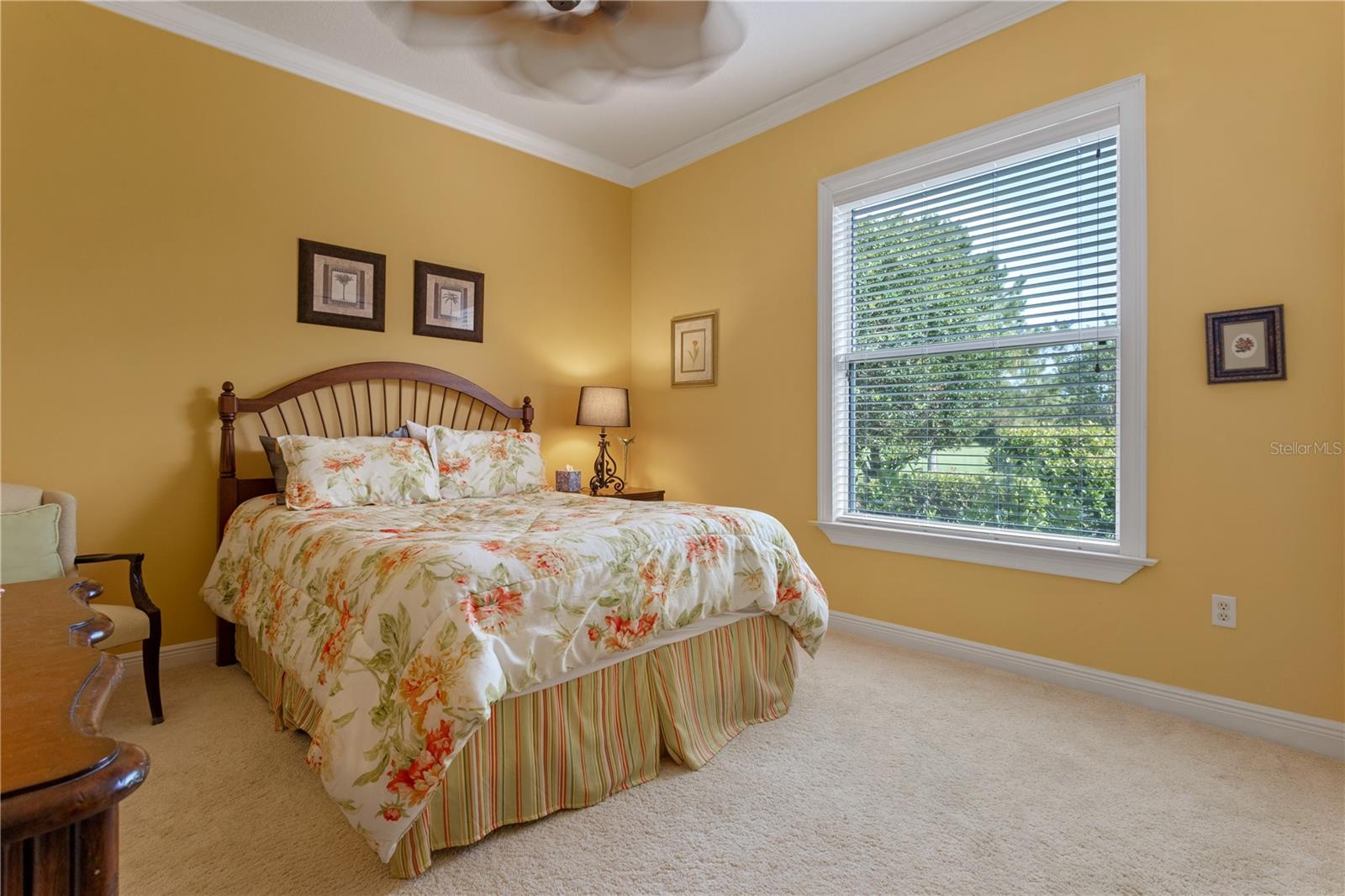 Listing photo id 19 for 133 Torino Lane
