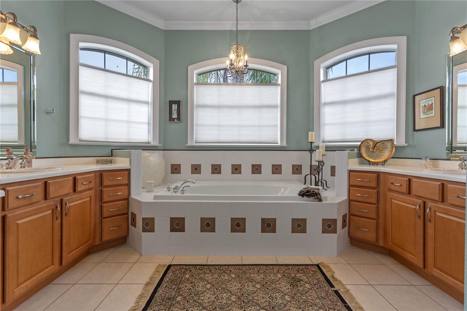 Listing photo id 26 for 133 Torino Lane
