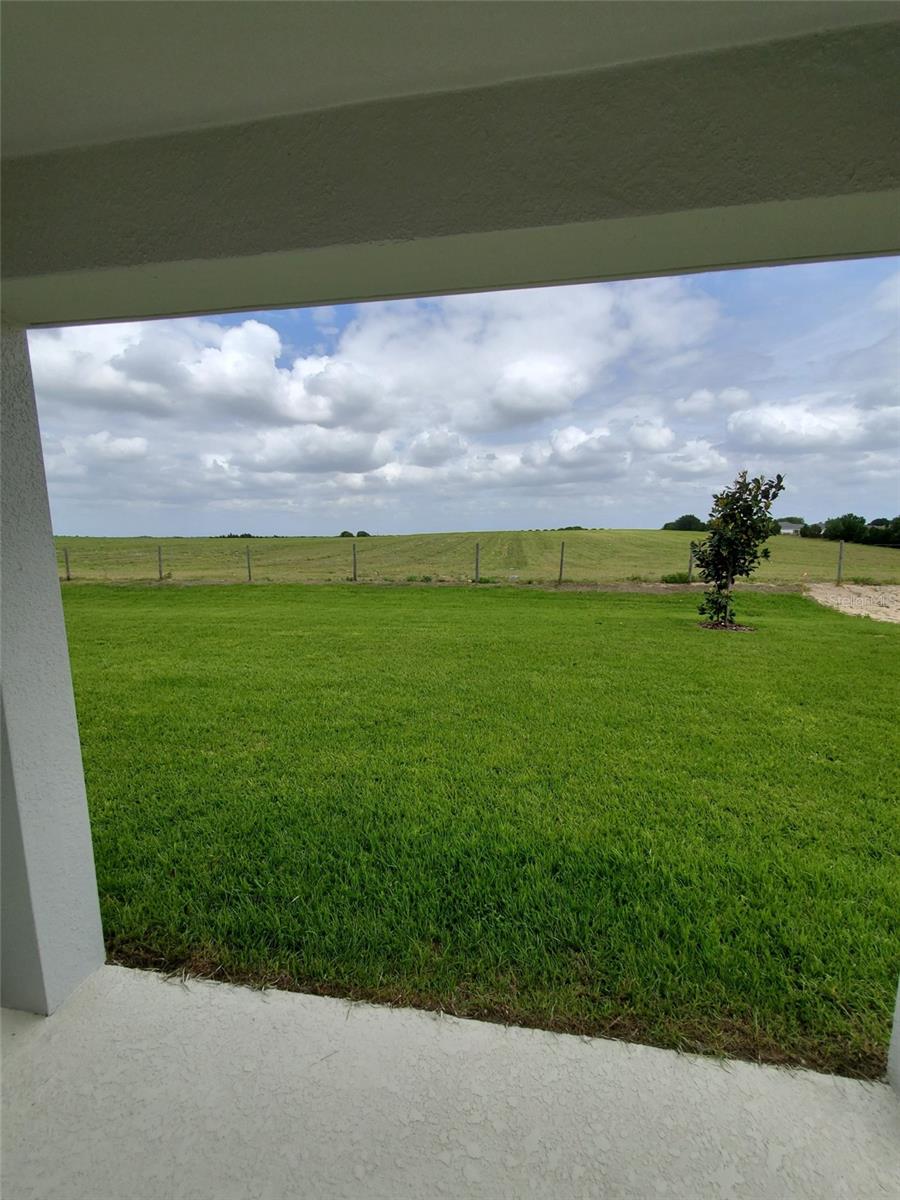 Image 20 of 20 For 2058 Ficus Street