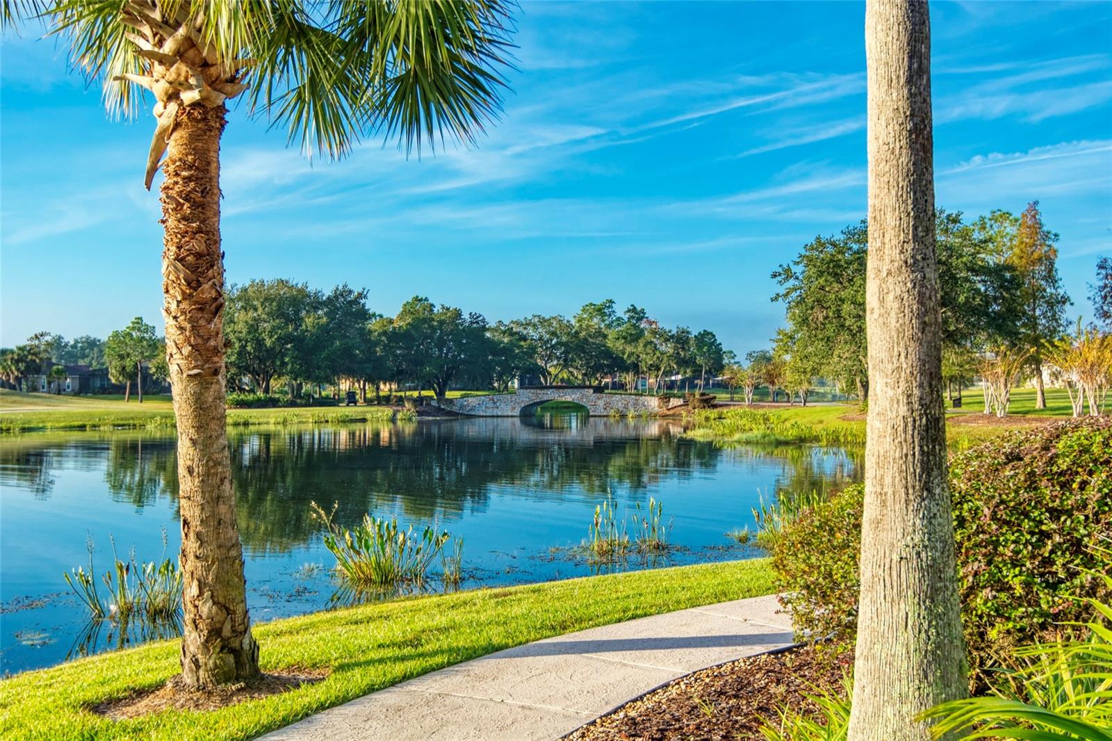 Image 46 of 61 For 204 Bella Cortina Dr