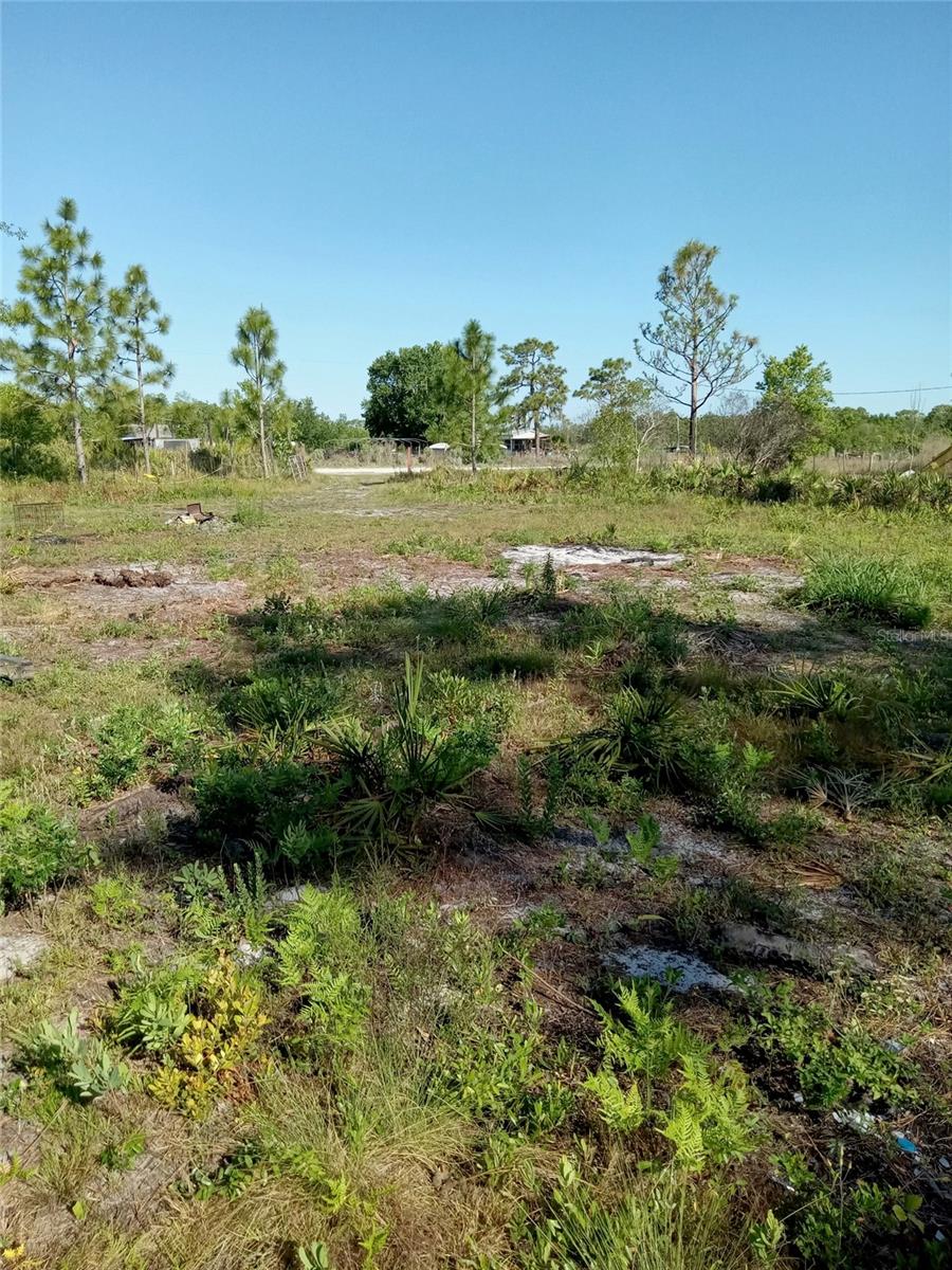 Details for  Krazy Court  , ST CLOUD, FL 34773