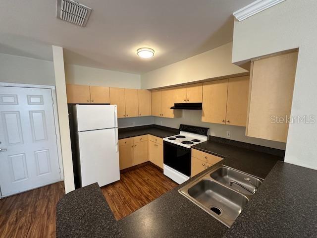 Image 4 of 20 For 727 Siena Palm Drive