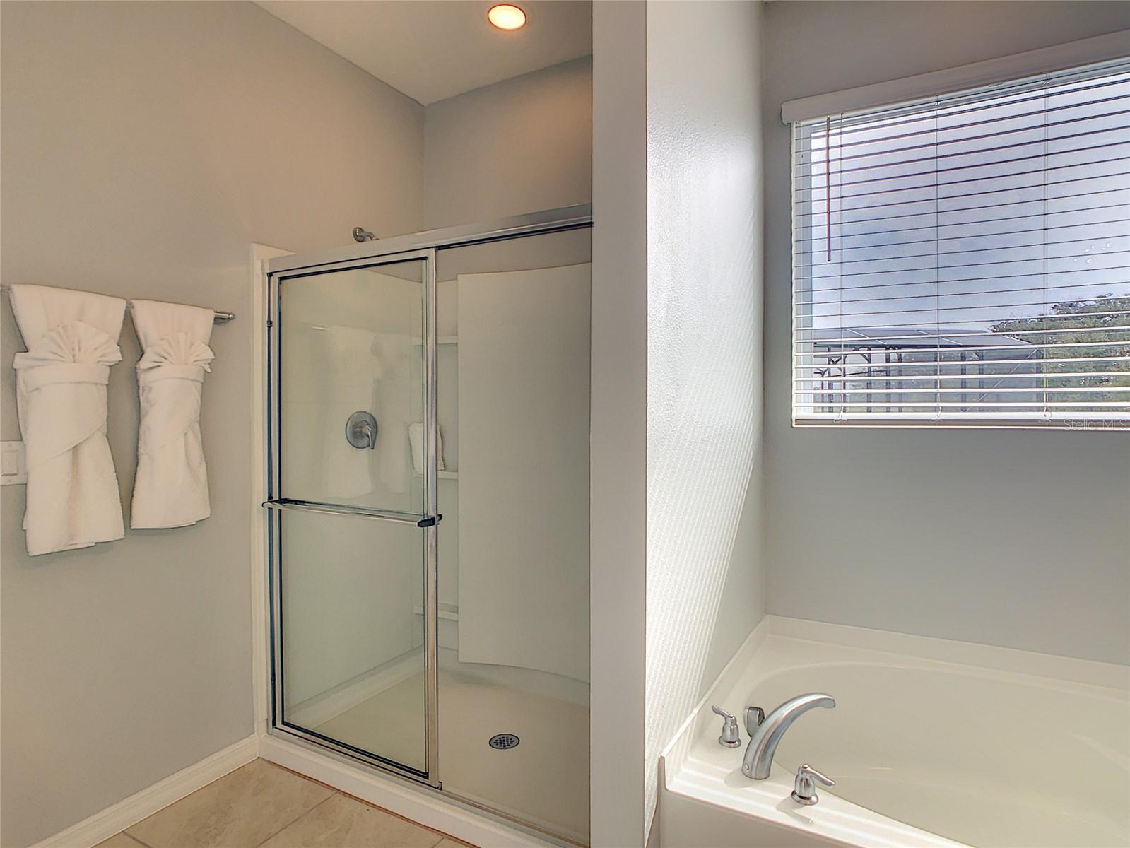 Image 32 of 68 For 8039 Oak Shadow Court