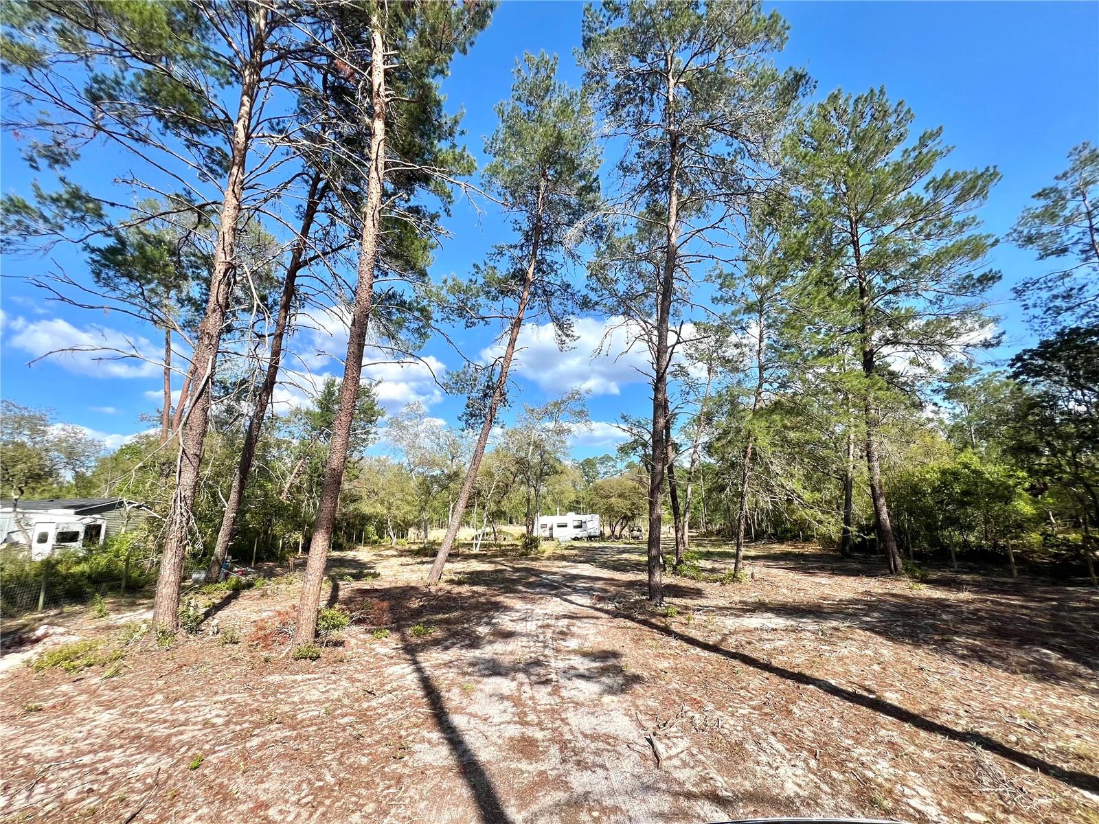 Image 6 of 22 For 104 Oleander Lane