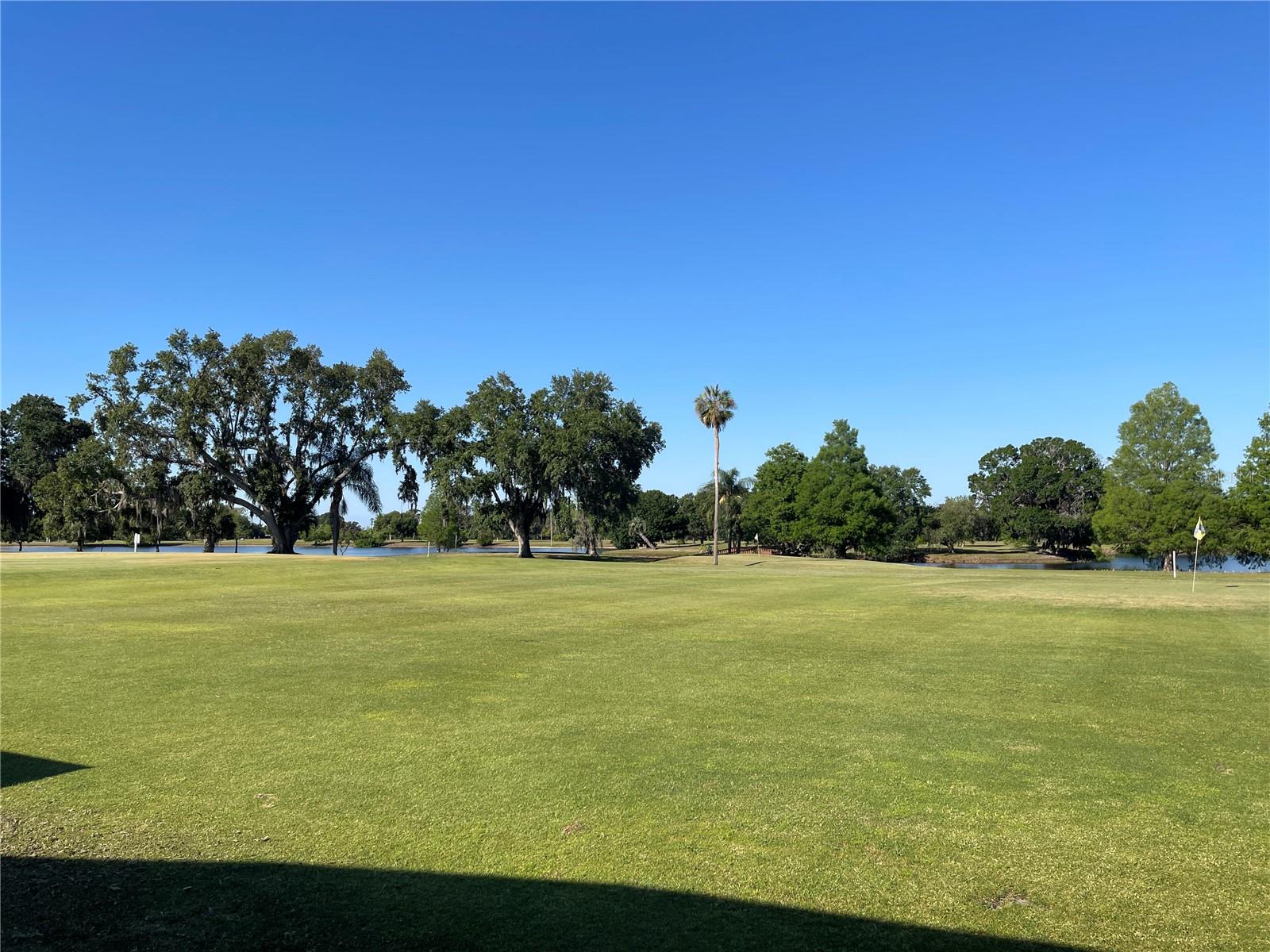 Image 13 of 34 For Orlando Drive