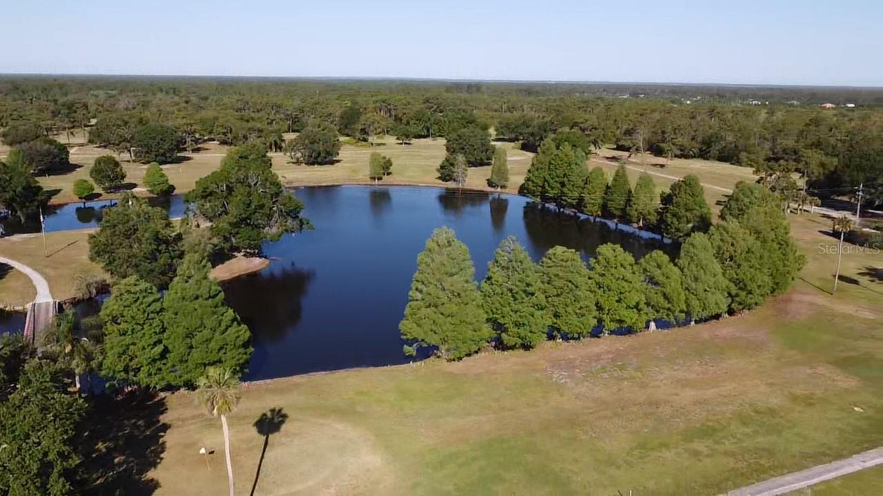 Image 14 of 34 For Orlando Drive