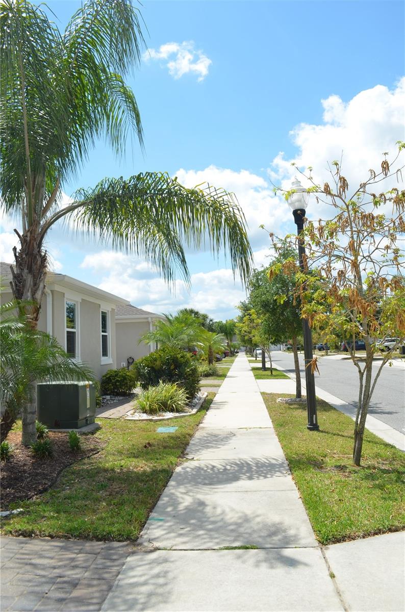 Image 4 of 31 For 1859 Shumard Avenue