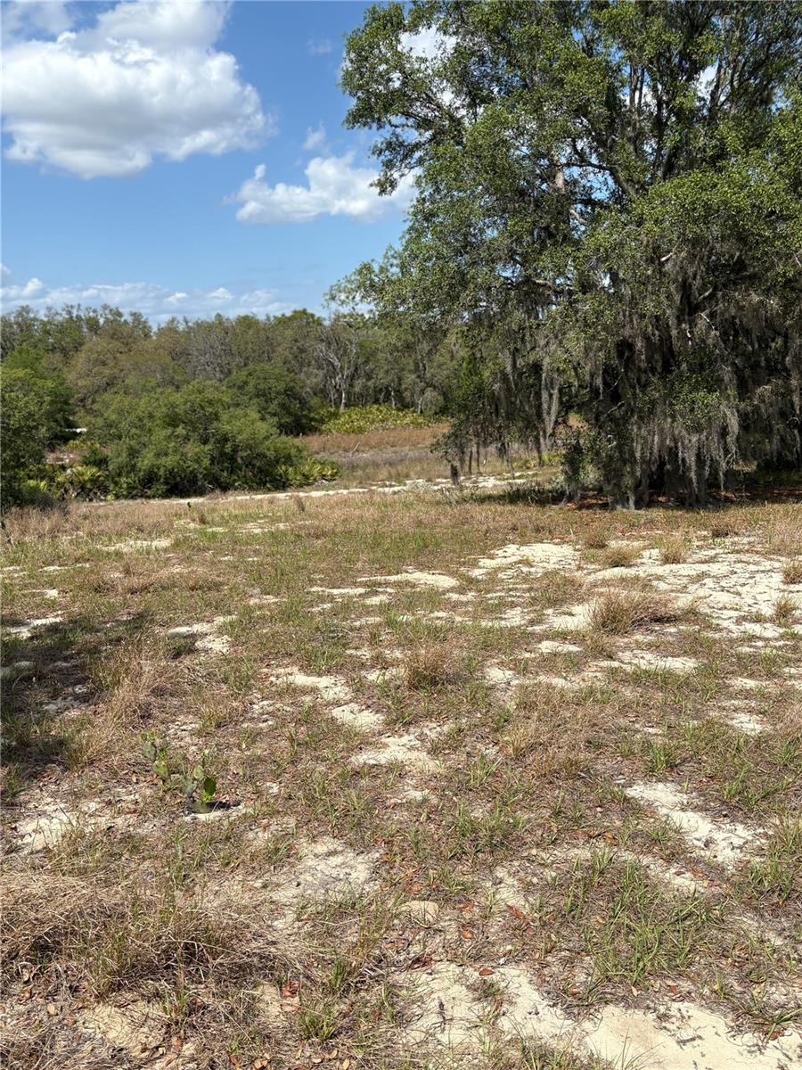 Details for 0 Dicks Road, BABSON PARK, FL 33827