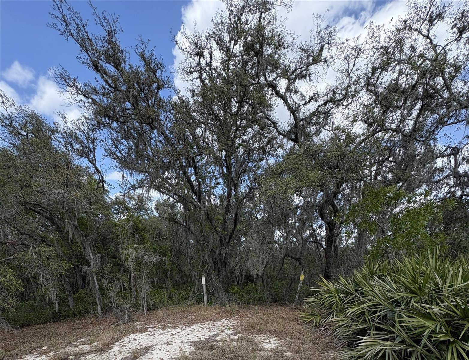 Image 2 of 9 For 0 Dicks Road