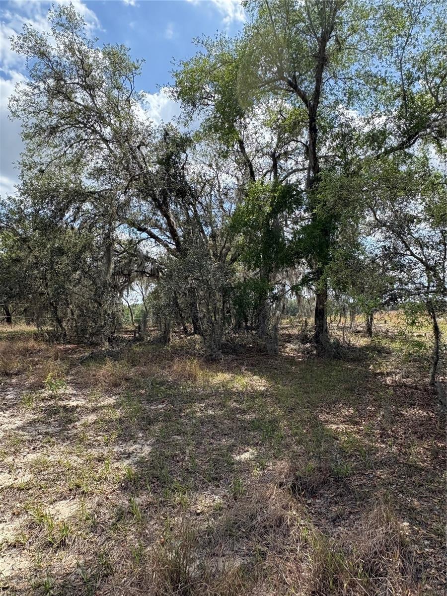 Image 6 of 9 For 0 Dicks Road