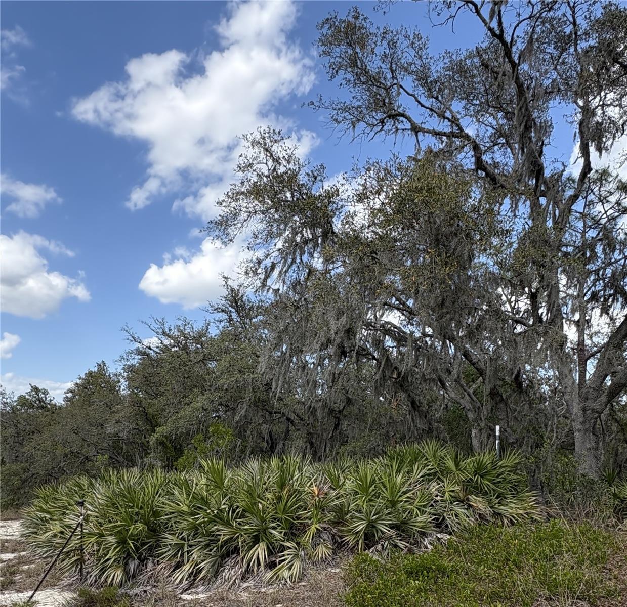 Image 7 of 9 For 0 Dicks Road