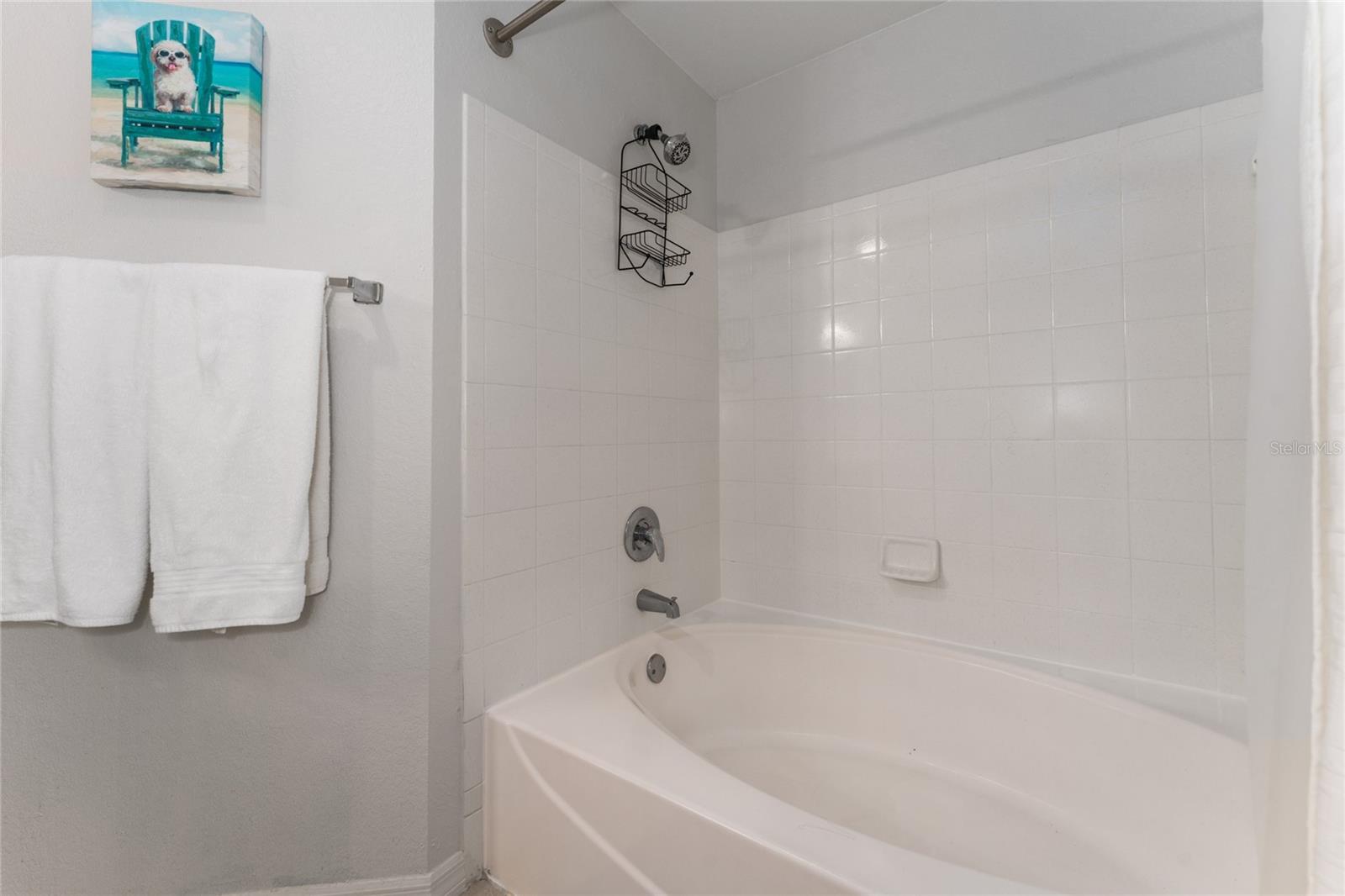 Image 14 of 32 For 3344 Corona Village Way 207