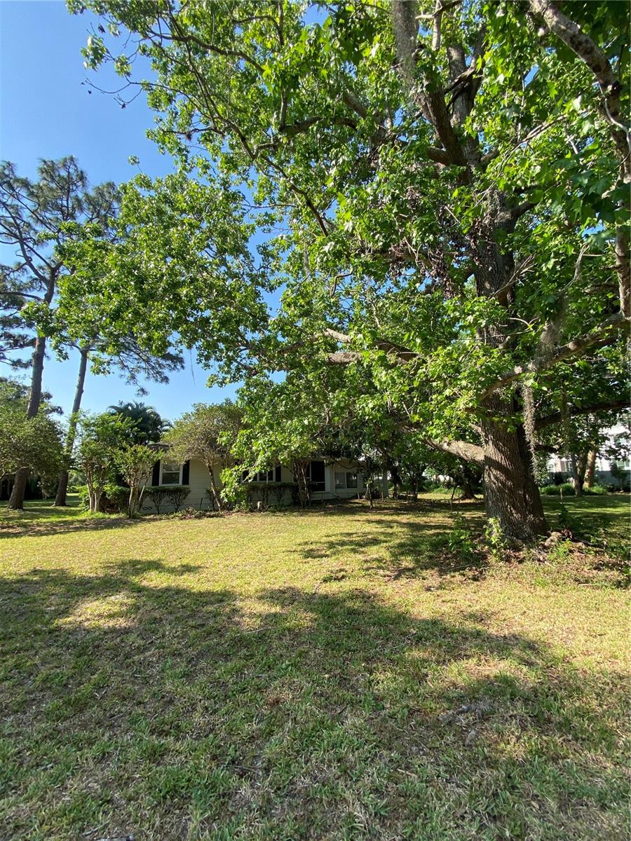 Image 3 of 26 For 5500 Lake Lizzie Drive