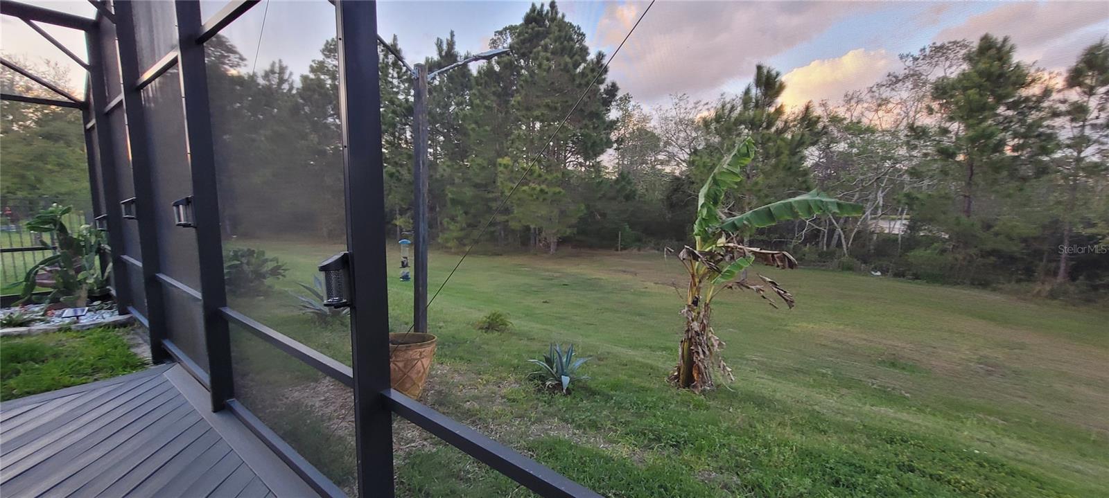 Image 7 of 14 For 17880 Passionflower Circle