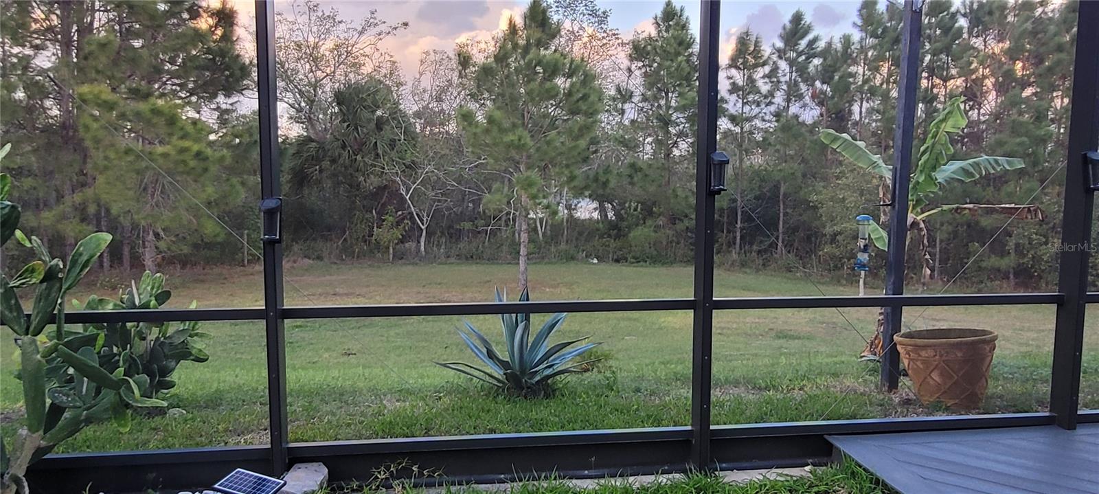 Image 8 of 14 For 17880 Passionflower Circle