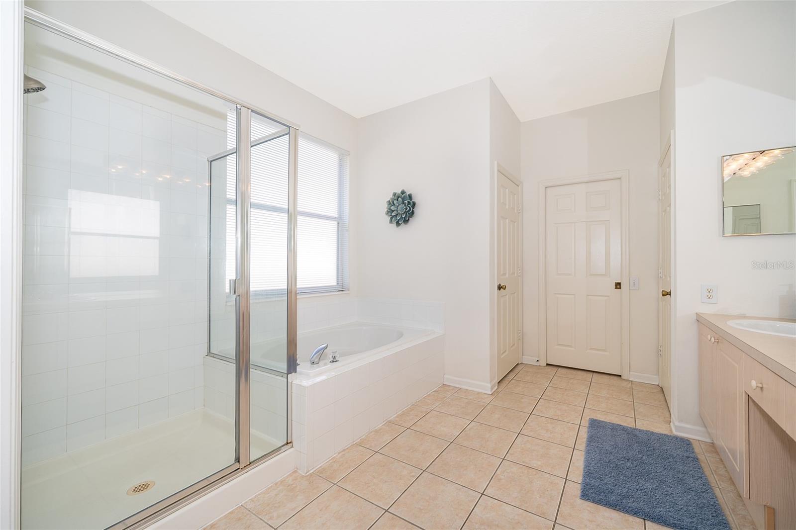 Image 23 of 39 For 8217 Fan Palm Way