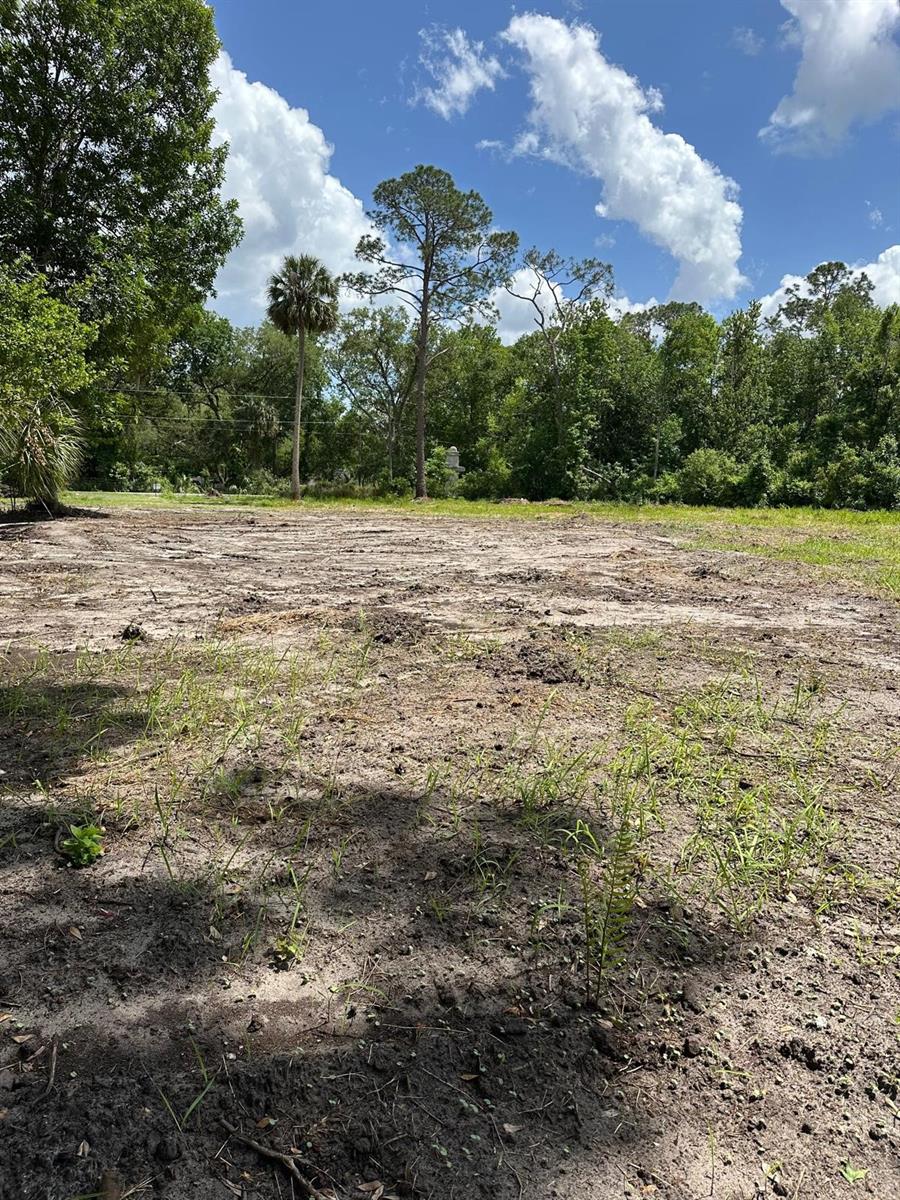 Details for 6655 Old Tampa Highway, DAVENPORT, FL 33896