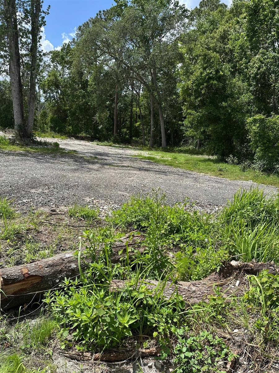 Image 6 of 9 For 6655 Old Tampa Highway