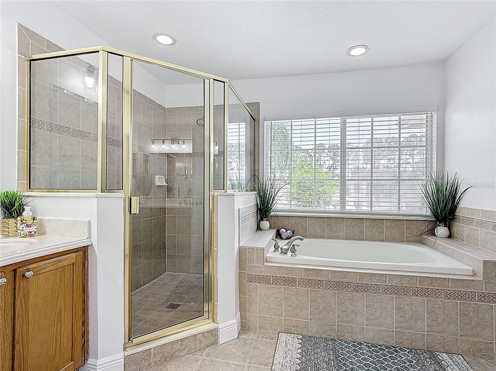 Image 54 of 92 For 14603 Cableshire Way